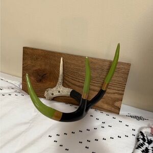 Decorative Antler Wall Hook in Green and Black